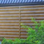IMG_5901_1